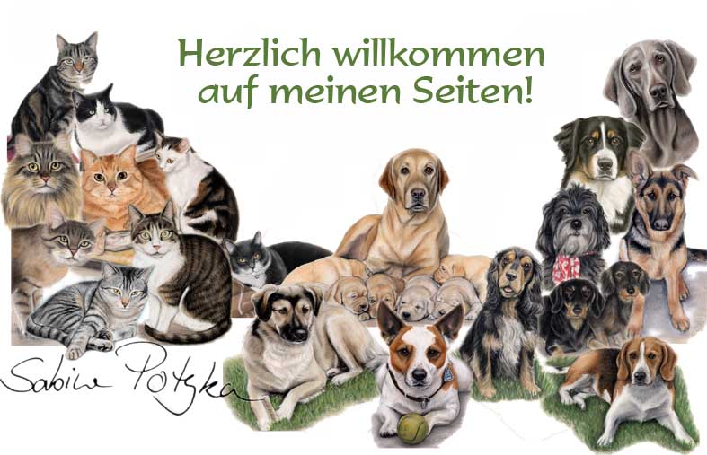 montagegruppwebsite Kopie