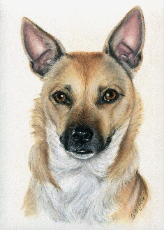 Maneto-Mix-heinrich-muck2